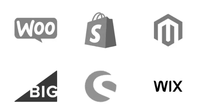 Options for Odoo ecommerce